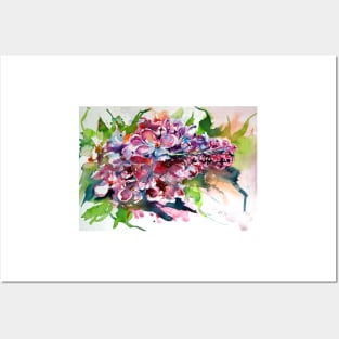 Lilac flower Posters and Art